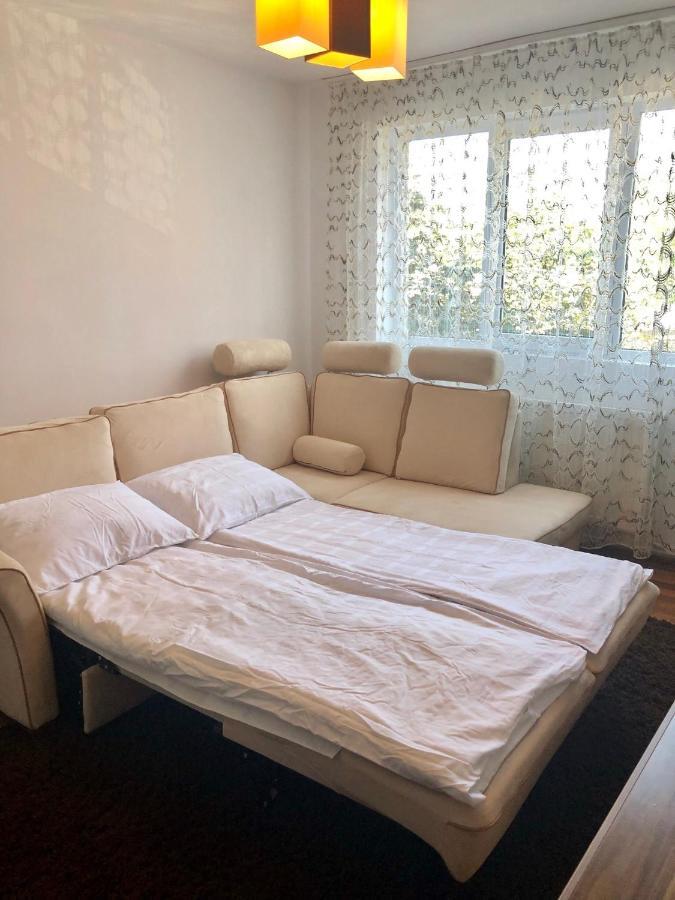 Little Cute Homey Apartman Сату-Маре Екстер'єр фото
